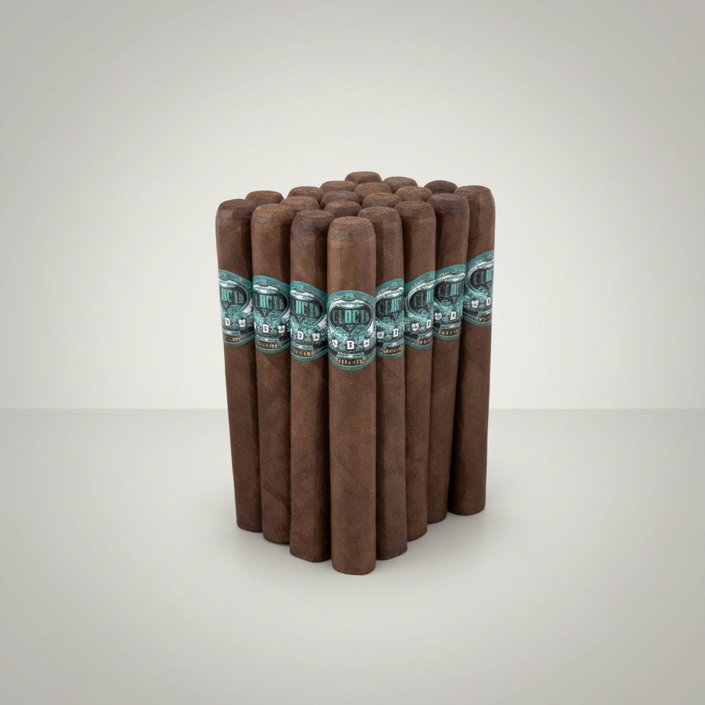Asylum Schizo 50 X 6 Maduro