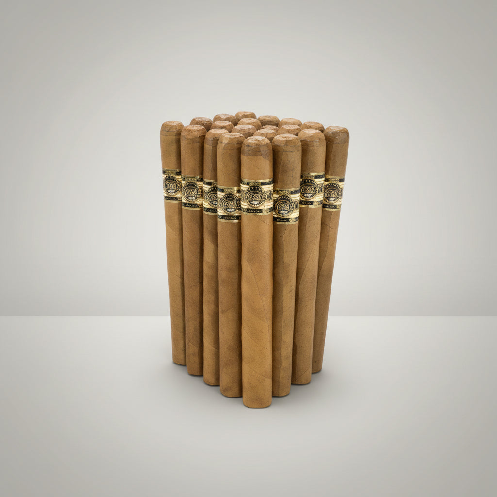 Quorum Shade, Churchill