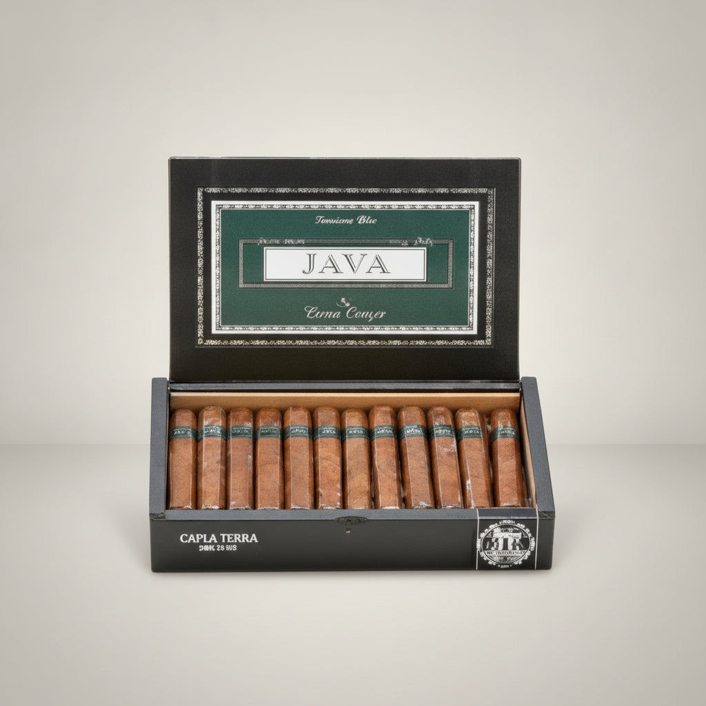 Java Mint, Robusto