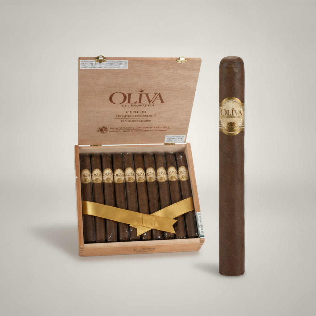 Oliva Serie O, Churchill