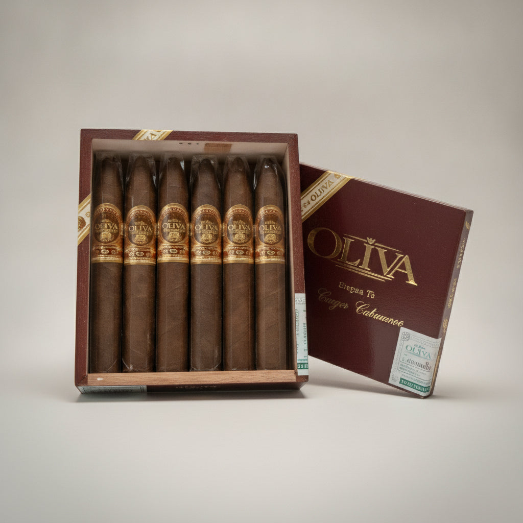 Oliva,Serie V, Torpedo