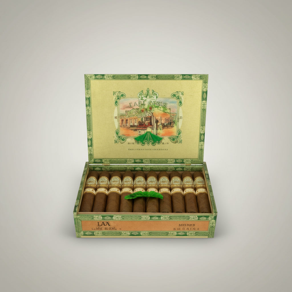 San Lotano Requiem Habano, Robusto