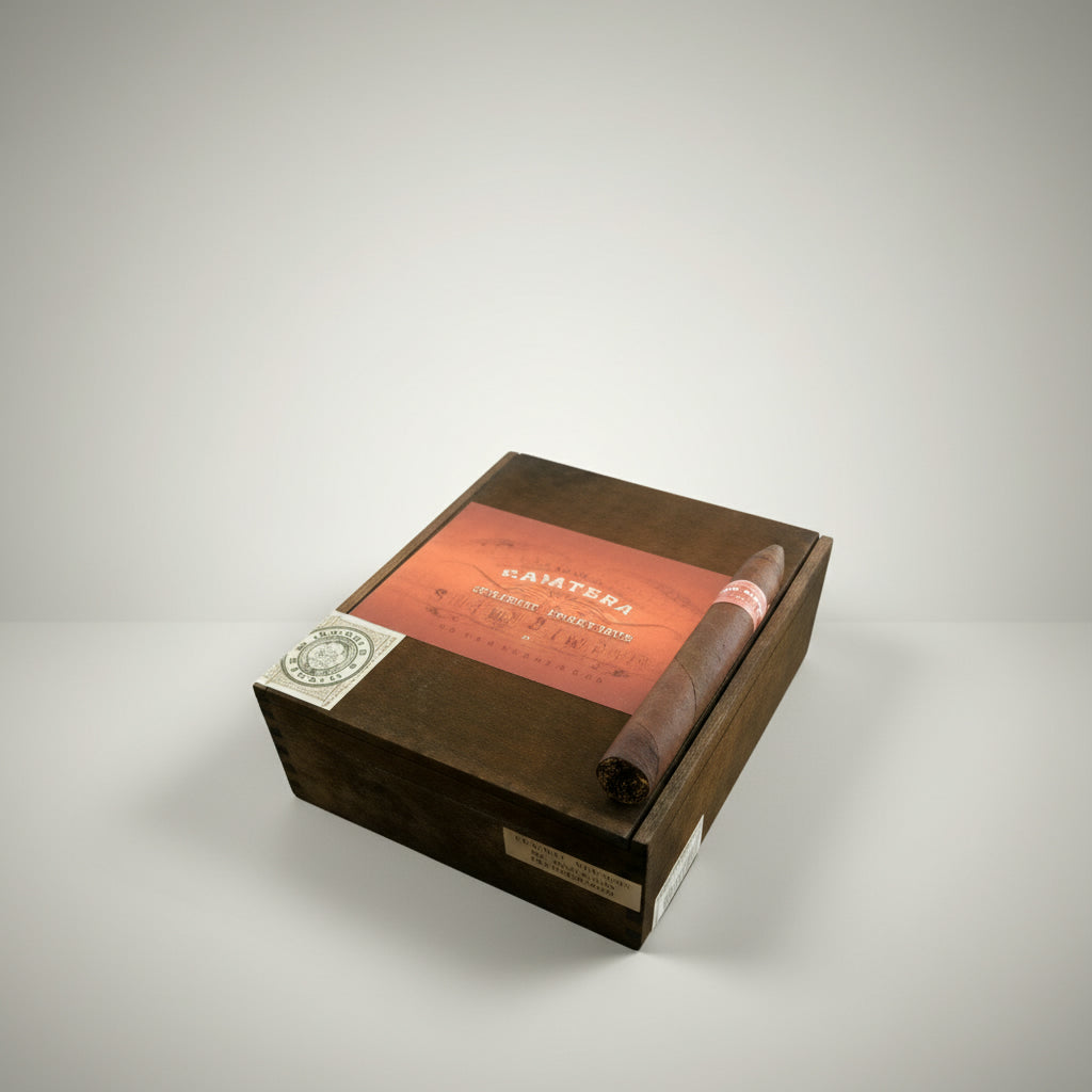 Kristoff Corojo Limitada, Torpedo