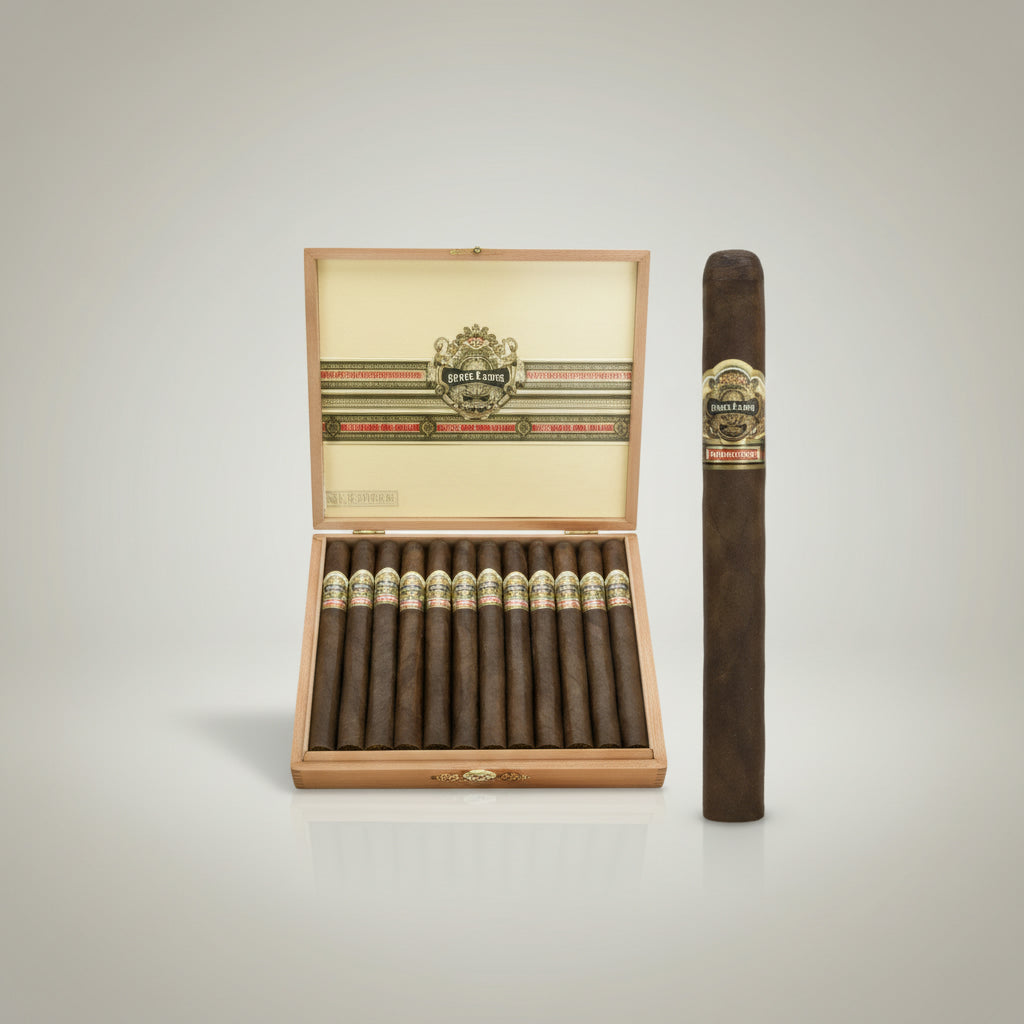 Ashton VSG, Sorcerer