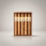 Asylum 13 Insidious, 6 x 52 Maduro