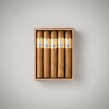 Asylum 13 Insidious, 7 x 64 Maduro
