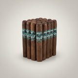 Asylum Schizo 50 x 5 Maduro