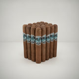 Asylum Schizo 50 x 5