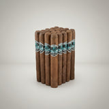 Asylum Schizo 50 X 6
