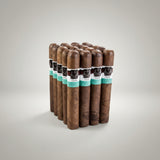 Asylum Schizo 60 X 6 Maduro