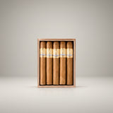 Asylum 13 Insidious, 6 x 52 Maduro
