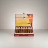 Avo Syncro Nicaragua Fogata, Special Toro