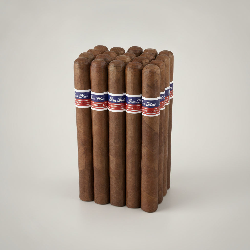 Oliva Bundles