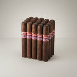 Oliva, Maduro Churchill