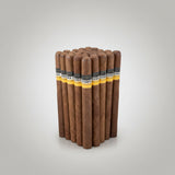 Carbon Copy C Corona