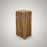 Casa Blanca Presidente Natural