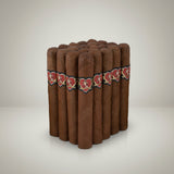Cupido Robusto