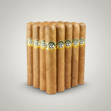 Cusano CC, Robusto