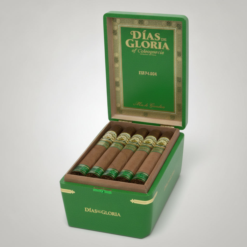 Dias de Gloria, Gordo BP