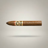 Don Carlos, Belicoso