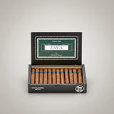 Java Mint, Petit Corona