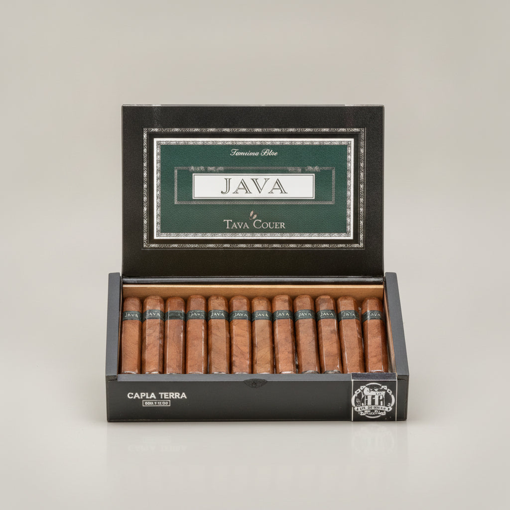Java Mint, Petit Corona