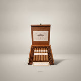 Kristoff Connecticut, Robusto