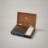 Macanudo Emissary Espana, Toro