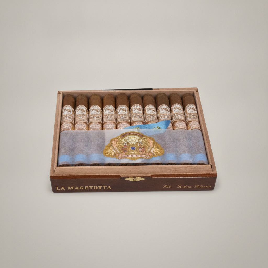 My Father La Gran Oferta, Torpedo