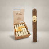 Oliva Serie G, Tubo