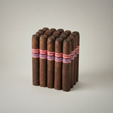 Oliva, Maduro Churchill