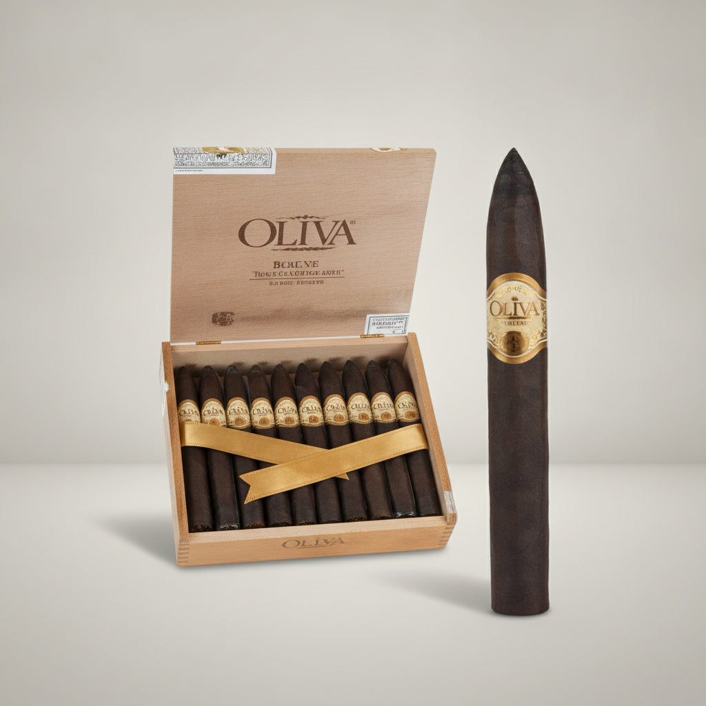 Oliva Serie O, Torpedo