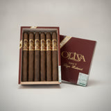 Oliva Serie V, Churchill Extra