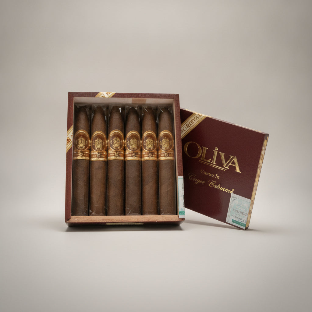 Oliva,Serie V, Torpedo