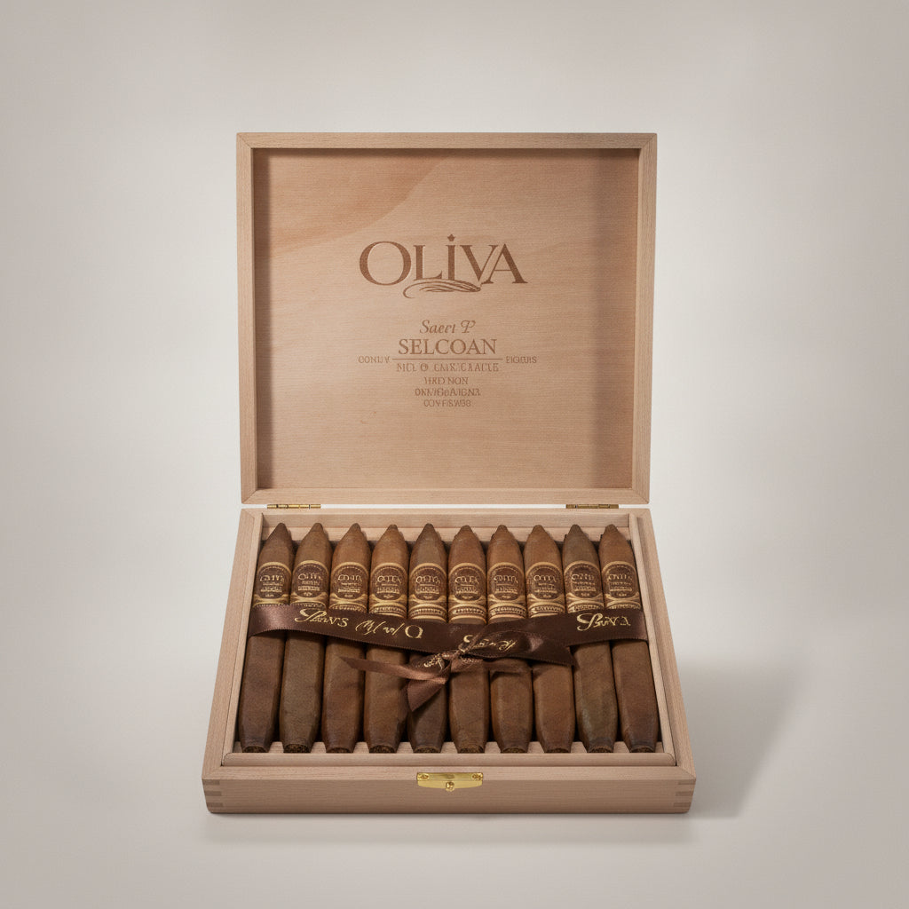 Oliva Serie V Melanio, Toro
