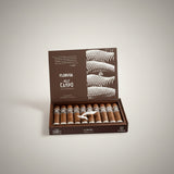 Plasencia Alma Del Campo, Tribu Robusto