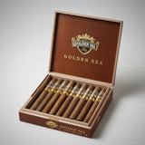 Punch Golden Era, Toro