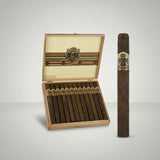 Ashton VSG, Spell Bound