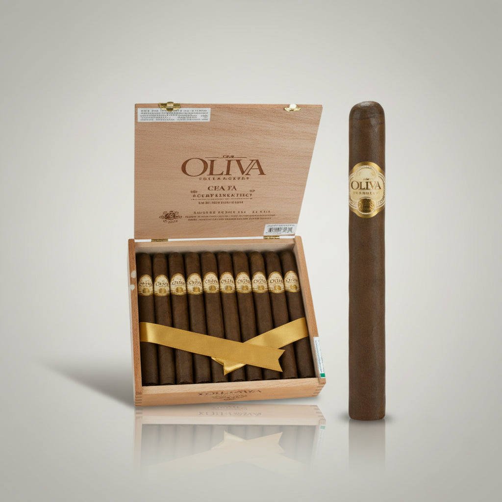 Oliva Serie O, Churchill
