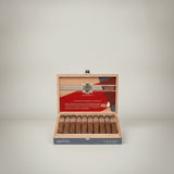 Avo Syncro Nicaragua, BP Toro