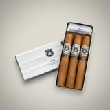 Zino Platinum Crown, Chubby Especial Tubo